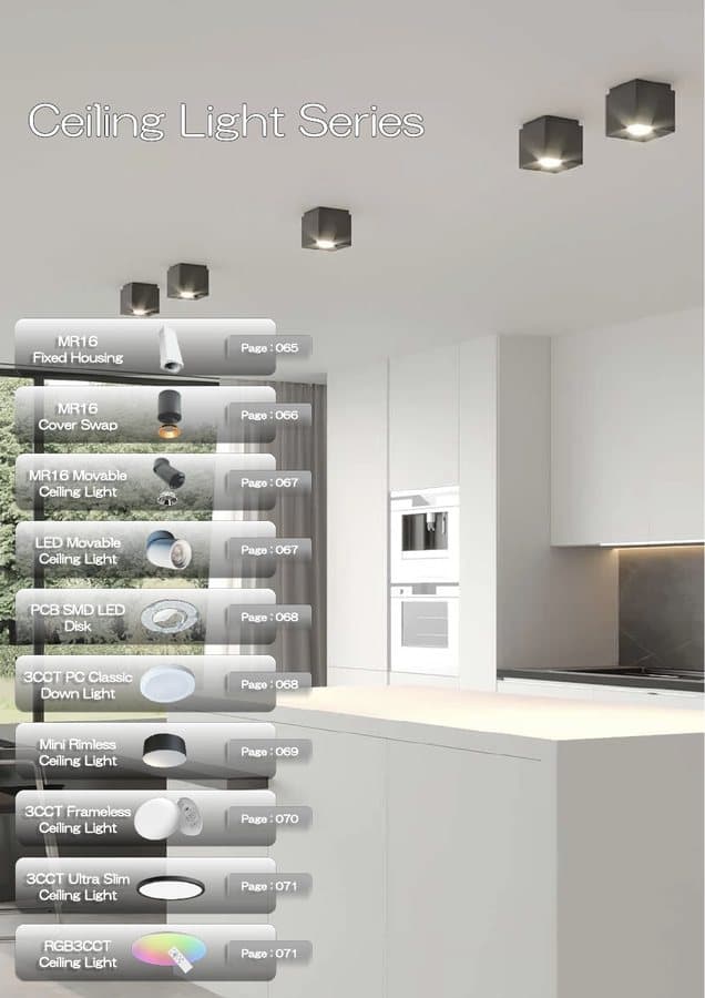 Ceiling Lights